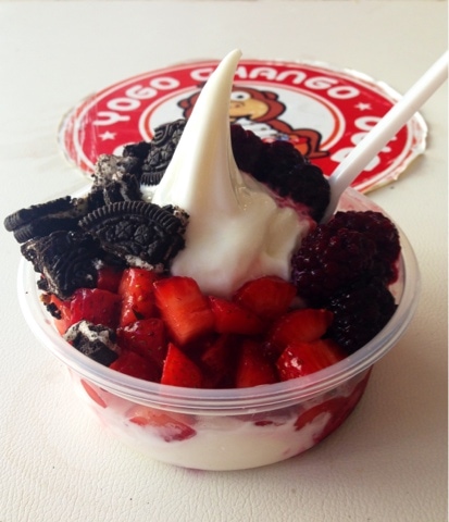 Yogo Chango frozen yogurt