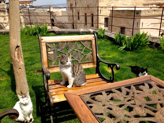 Wanderlust Chloe Kale Konak Cave Hotel Cappadocia 14