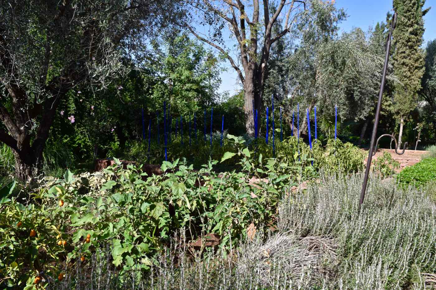 Gardens at La Maison Arabe Marrakech