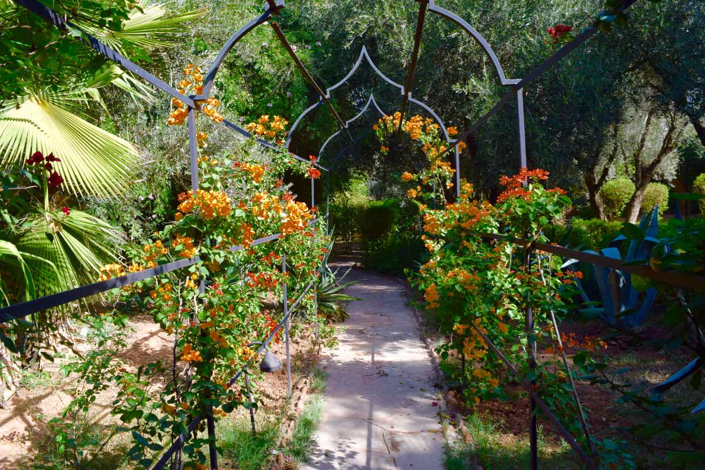 Gardens at La Maison Arabe Marrakech