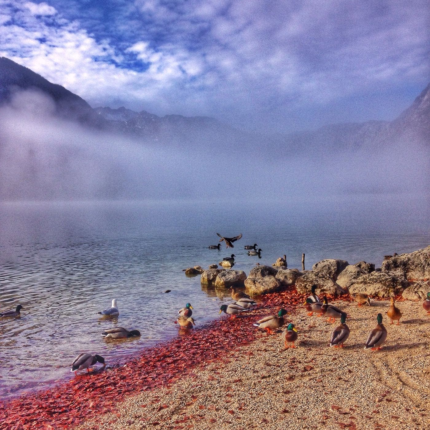 Lake Bohinj, Slovenia