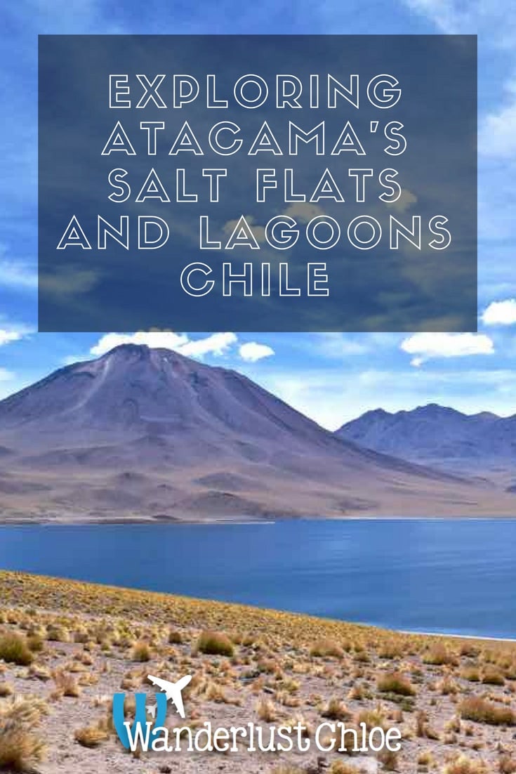 Exploring Atacama’s Salt Flats and Altiplanic Lagoons