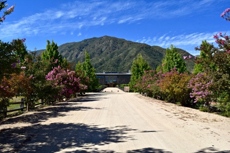 Vina Montes, Colchagua Valley, Chile