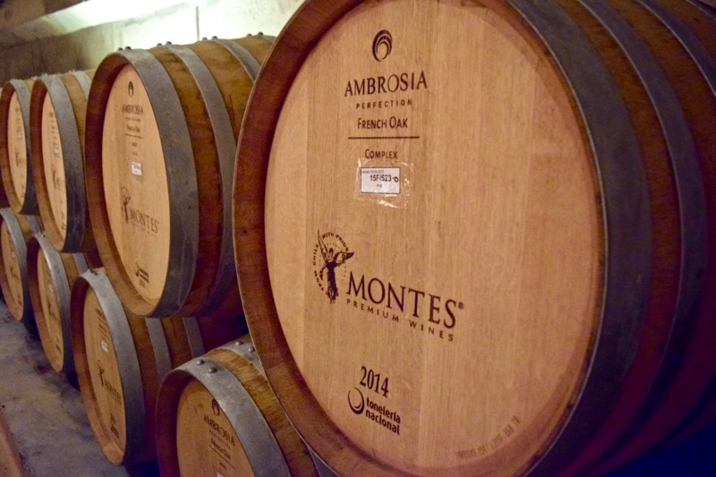 The barrel room at Vina Montes, Colchagua Valley, Chile