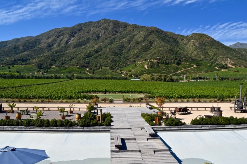 Incredible views from the back of Vina Montes, Colchagua Valley, Chile