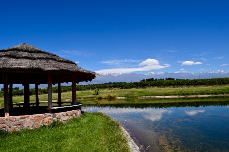 Reservoir and view of the Andes at Domaine Bousquet Winery, Uco Valley