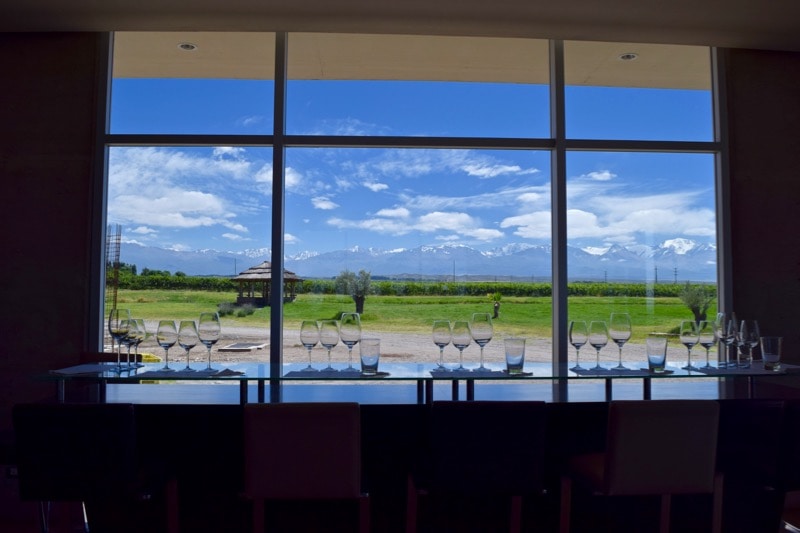 Amazing views from the wine tasting bar at Domaine Bousquet Winery, Uco Valley