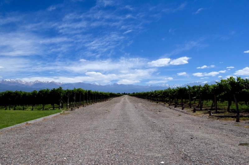 Andeluna vineyards, Uco Valley