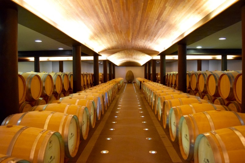 One of the incredible barrel rooms at Lapostolle, Colchagua Valley, Chile