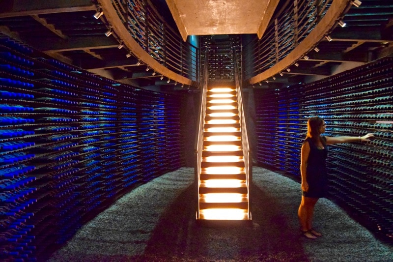 Picking out my favourite wine in Lapostolle's wine cellar (Photo @BackpackerMacca)