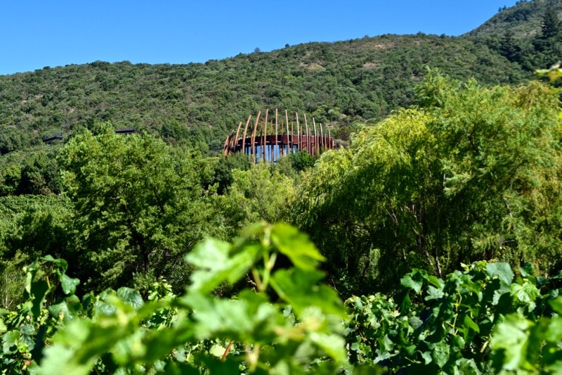 View of Lapostolle Colchagua Valley, Chile from the vineyards