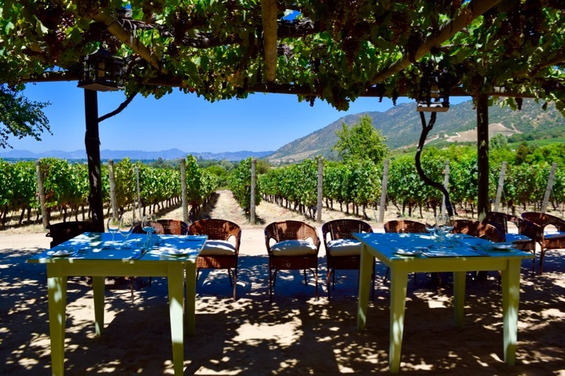 All set for lunch at Lapostolle, Colchagua Valley, Chile 