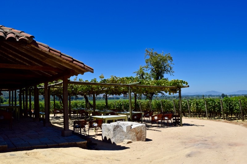 All set for lunch at Lapostolle, Colchagua Valley, Chile 