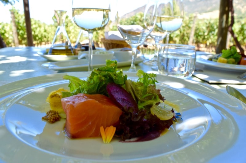 Salmon starter at Lapostolle, Colchagua Valley, Chile 