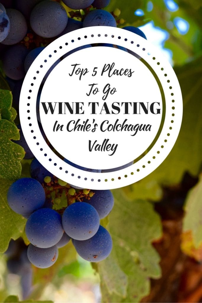 Top 5 Places To Go Wine Tasting in Chile's Colchagua Valley