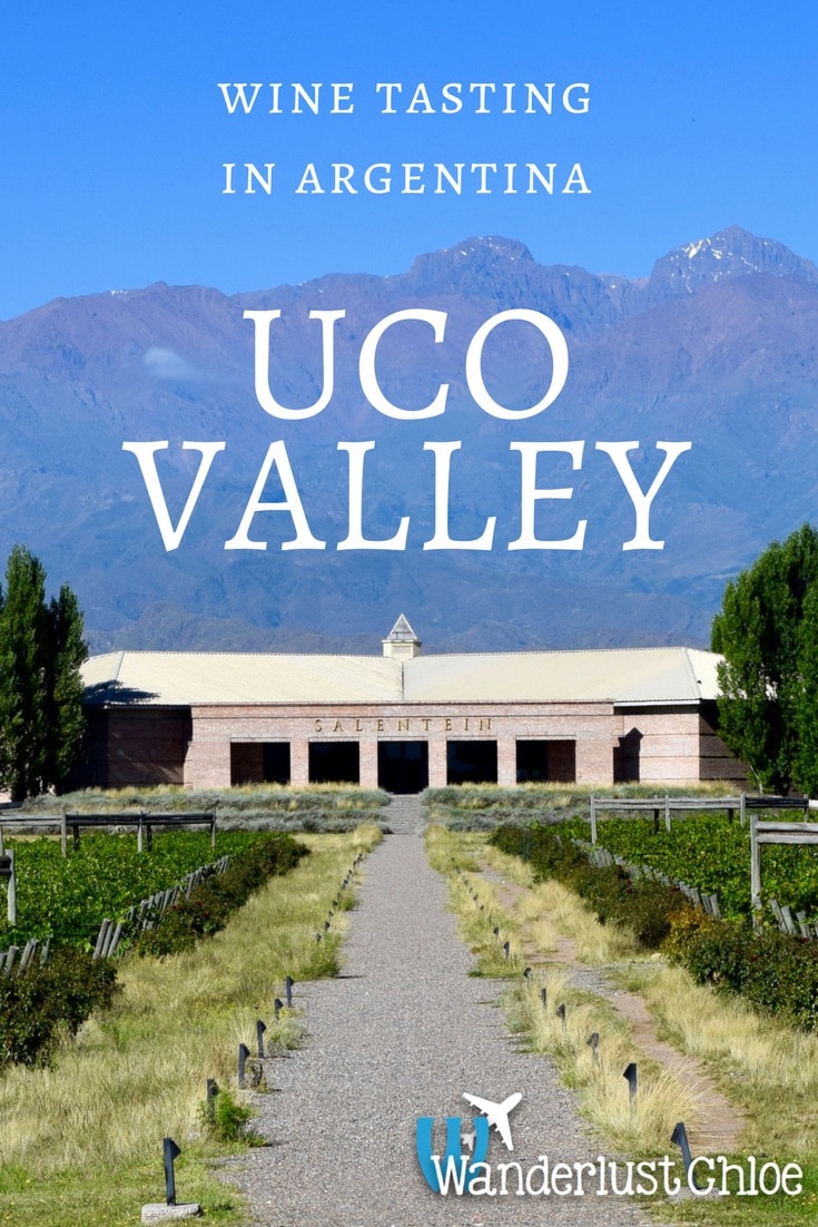 Wine Tasting In Argentina's Uco Valley