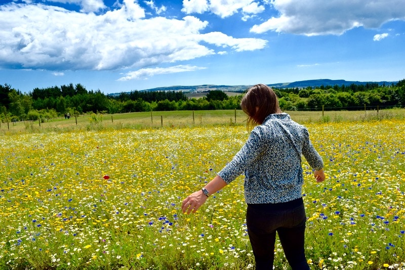 Exploring The Garlic Farm, Isle of Wight