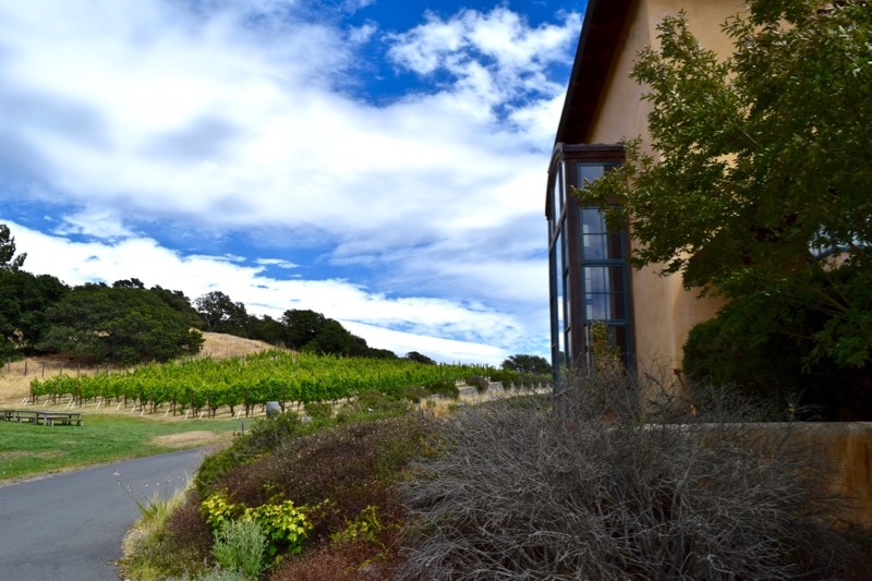 Nicholson Ranch, Sonoma Valley, California