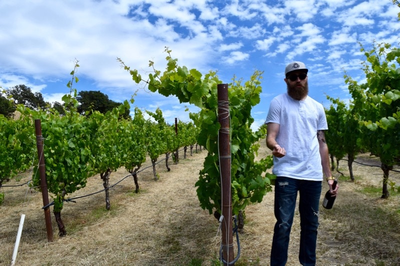 Learning about the vines at Nicholson Ranch, Sonoma Valley, California