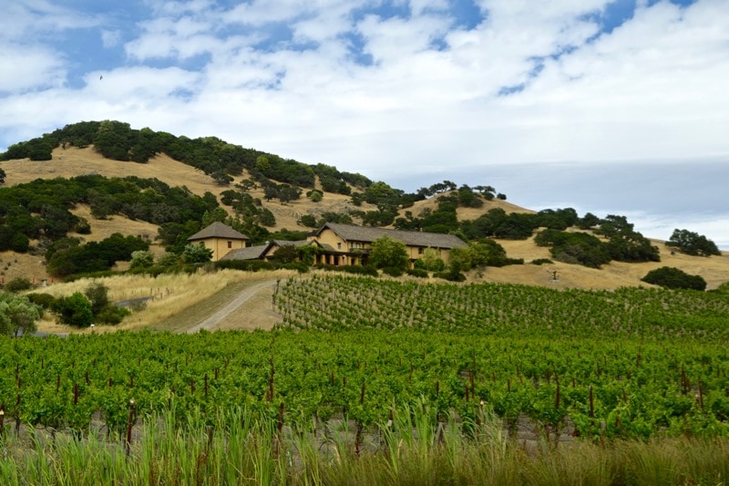 Beautiful views of Nicholson Ranch, Sonoma Valley, California