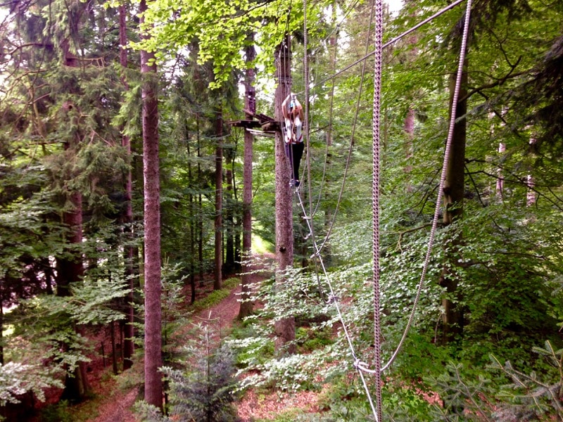 Tree top adventure park at Mehliskopf, Black Forest, Germany
