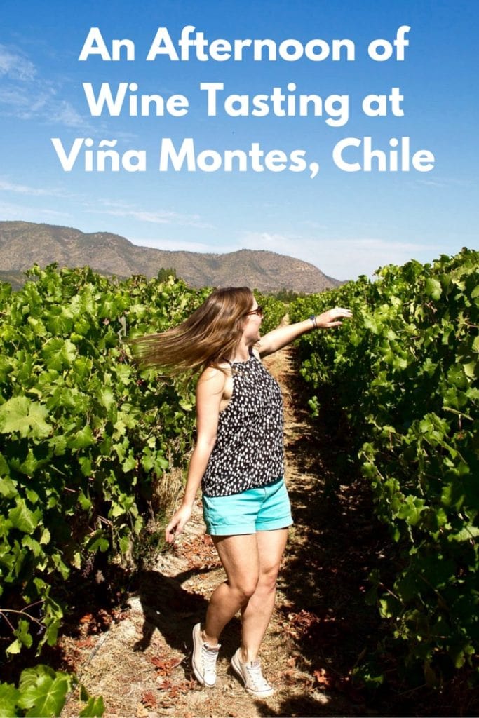 An Afternoon of Wine Tasting at Viña Montes, Chile (PIN)