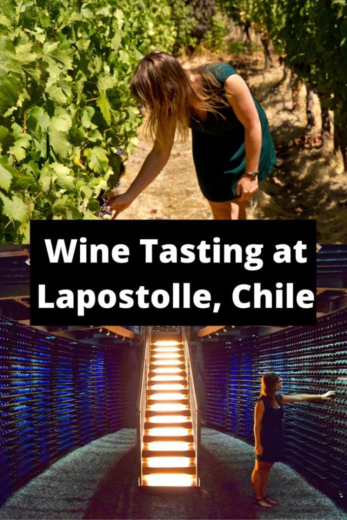 Wine Tasting at Lapostolle, Colchagua Valley, Chile (PIN)