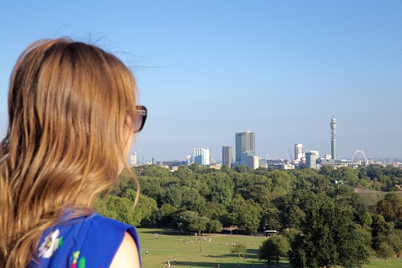 Primrose Hill View