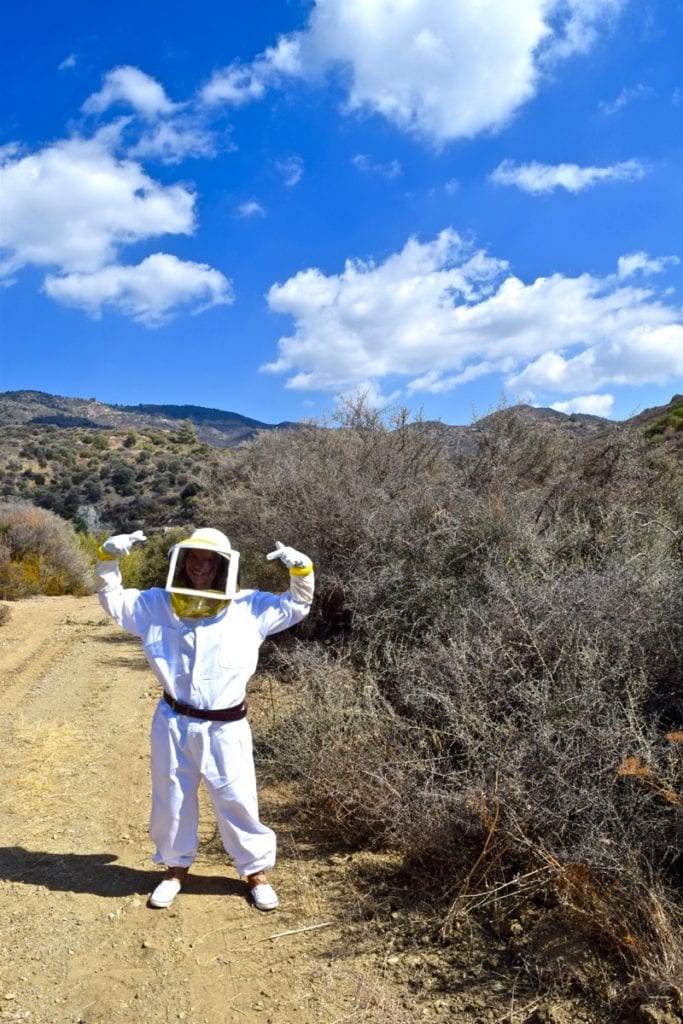 Ready to be a beekeeper for the day with Ecophysis, Cyprus