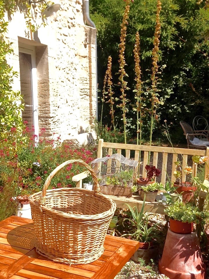 The gardens at Le Coeurisier, Provence