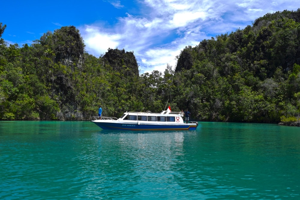The colour of the water in Piaynemo, Raja Ampat