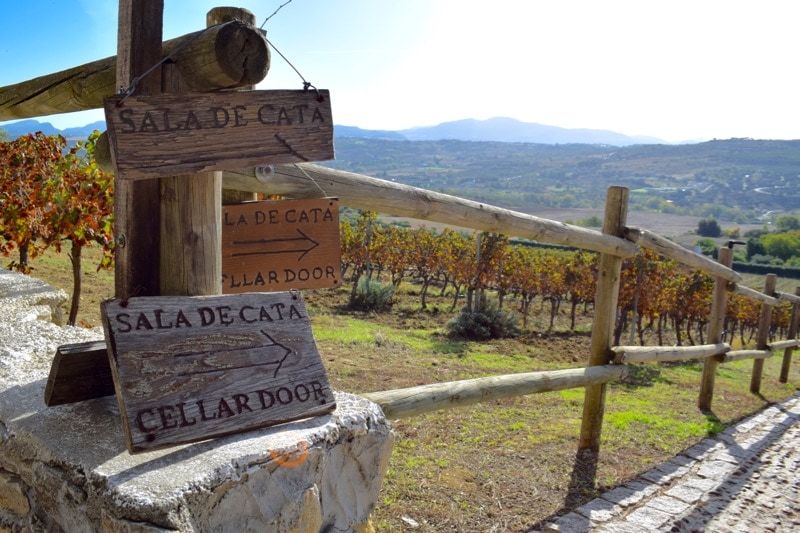 Winery - Bodega Joaquín Fernández, Ronda, Spain