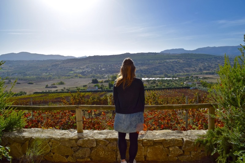 Winery - Bodega Joaquín Fernández, Ronda, Spain