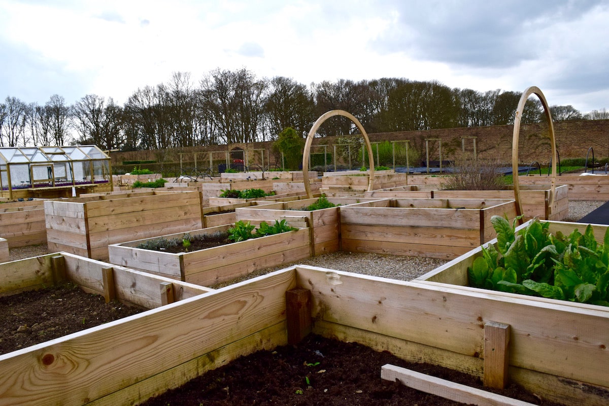 Kitchen Garden at The Grove, Hertfordshire