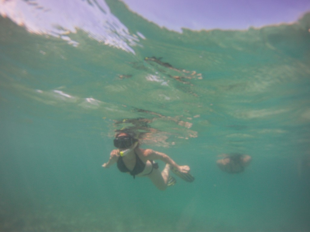 Snorkelling in Akumal, Mexico