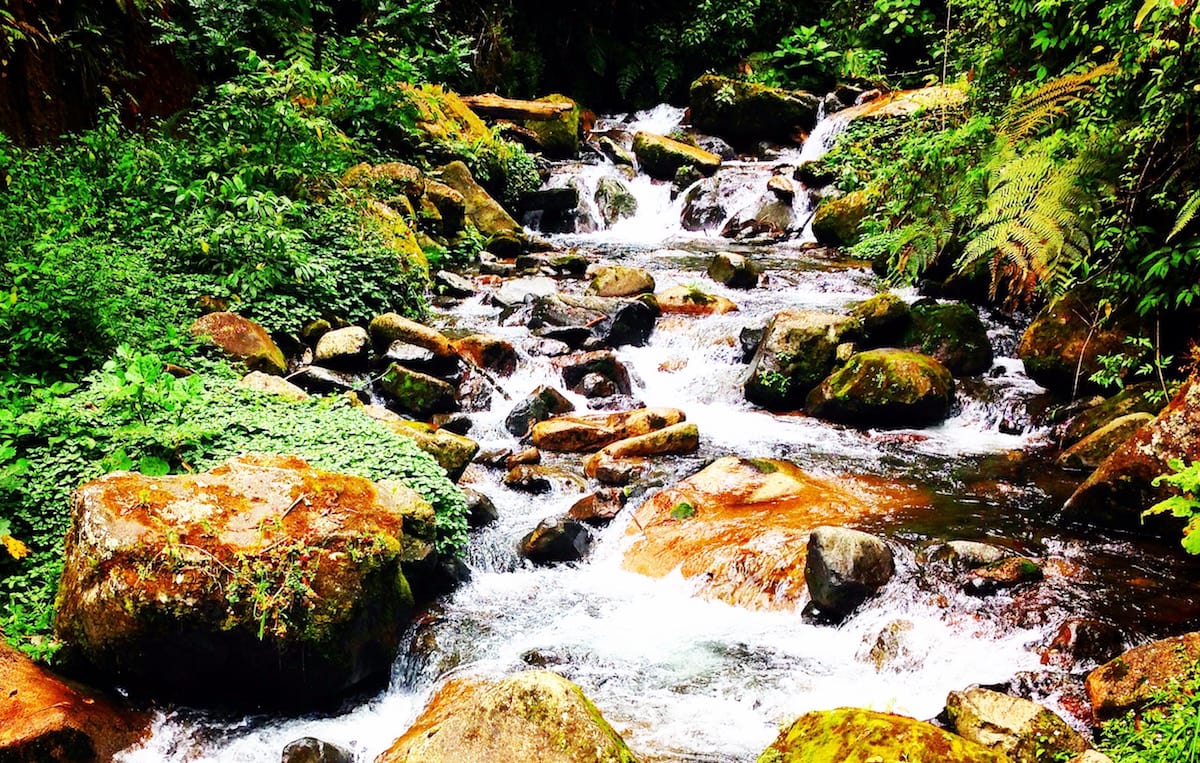 Boquete, Panama