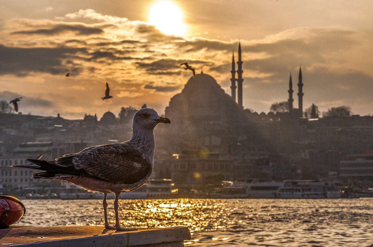 Sunset on The Bosphorus in Istanbul, Turkey