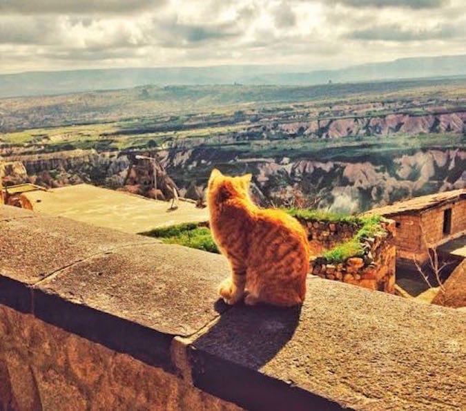 Wanderlust Chloe Kale Konak Cave Hotel Cappadocia feat