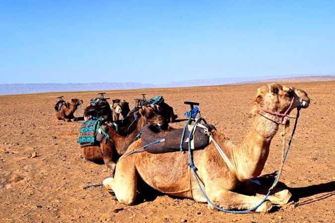 Travel Talk Adventure Morocco