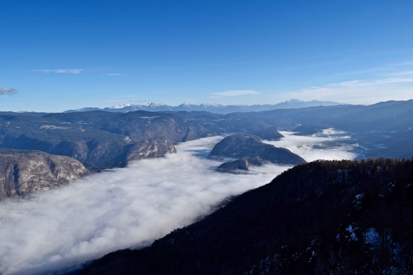 View from Vogel, overlooking Lake Bohinj Slovenia