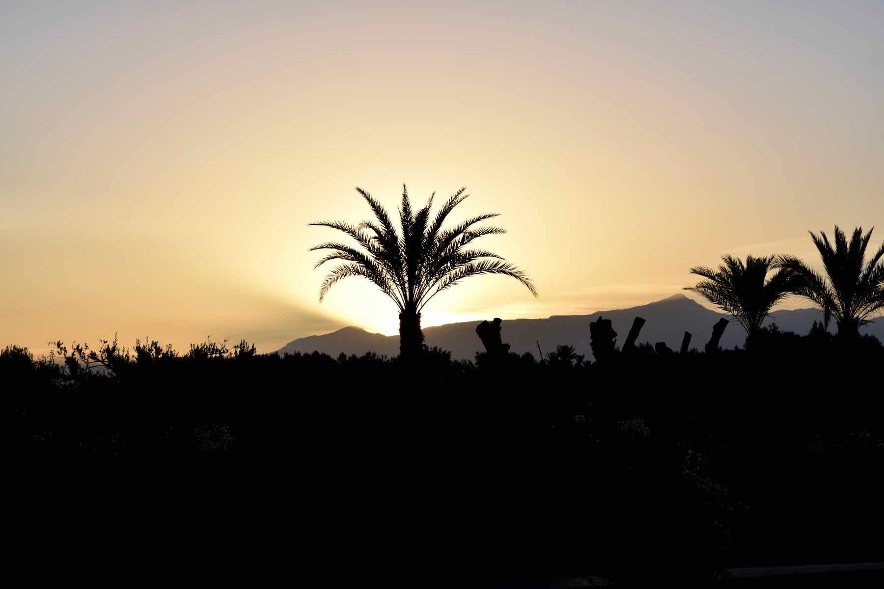 Sunrise at Royal Palm Hotel Marrakech