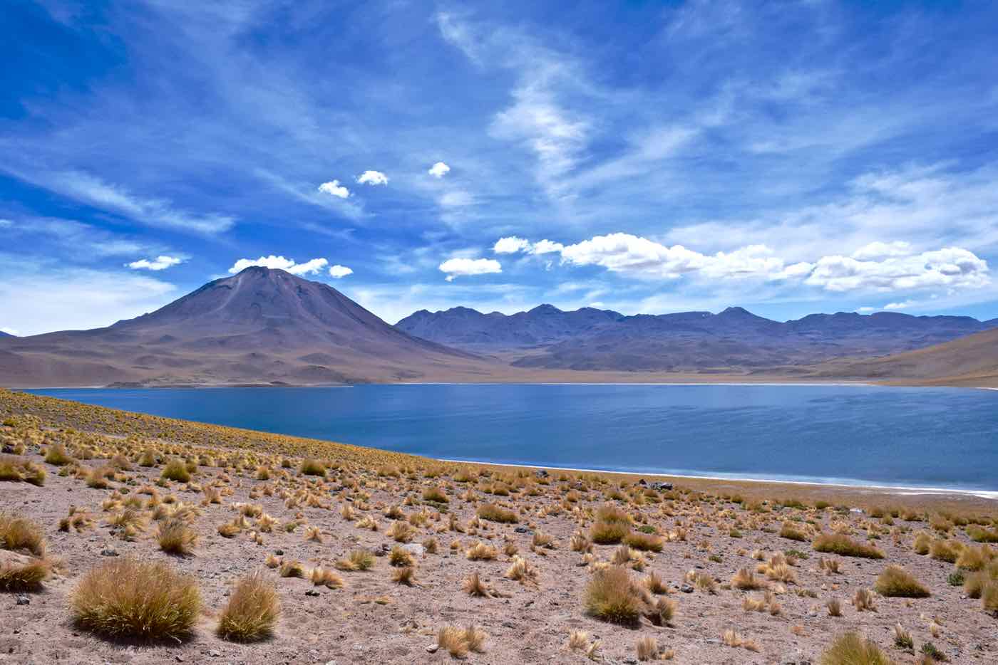 Miscanti Lagoon Northern Chile