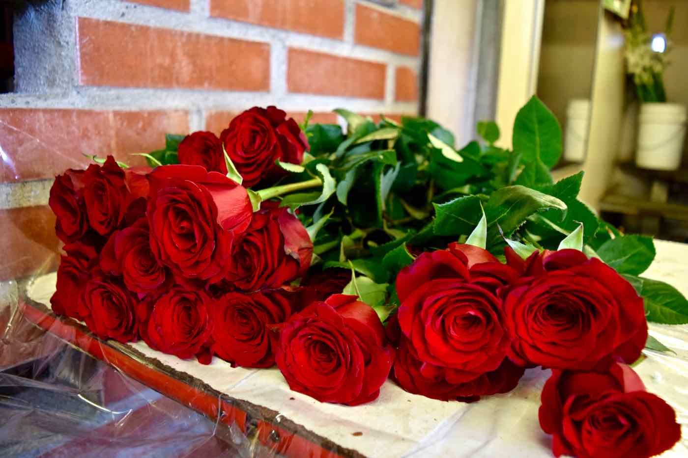 Roses in Santiago's Flower Market