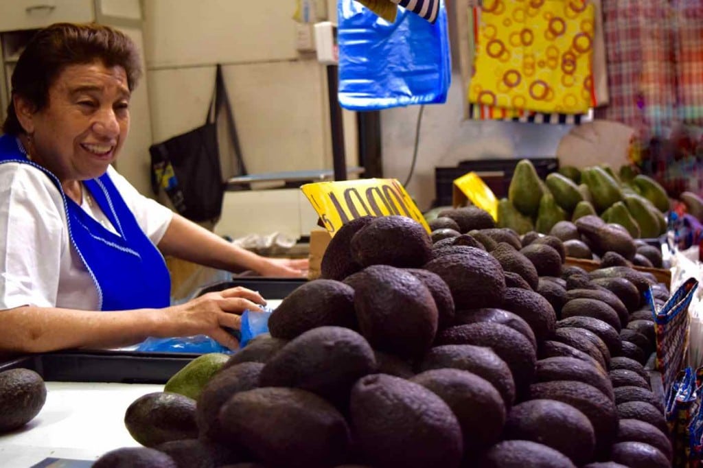 Avocadoes in Santiago's Central Markets