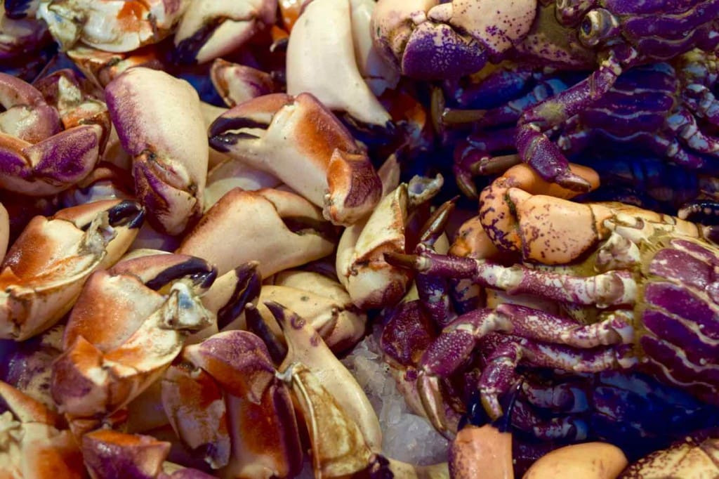 Seafood in Mercado Central, Santiago, Chile