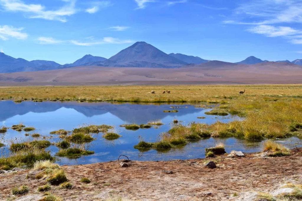 Lagoon on the way from El Tatio Geysers to San Pedro De Atacama