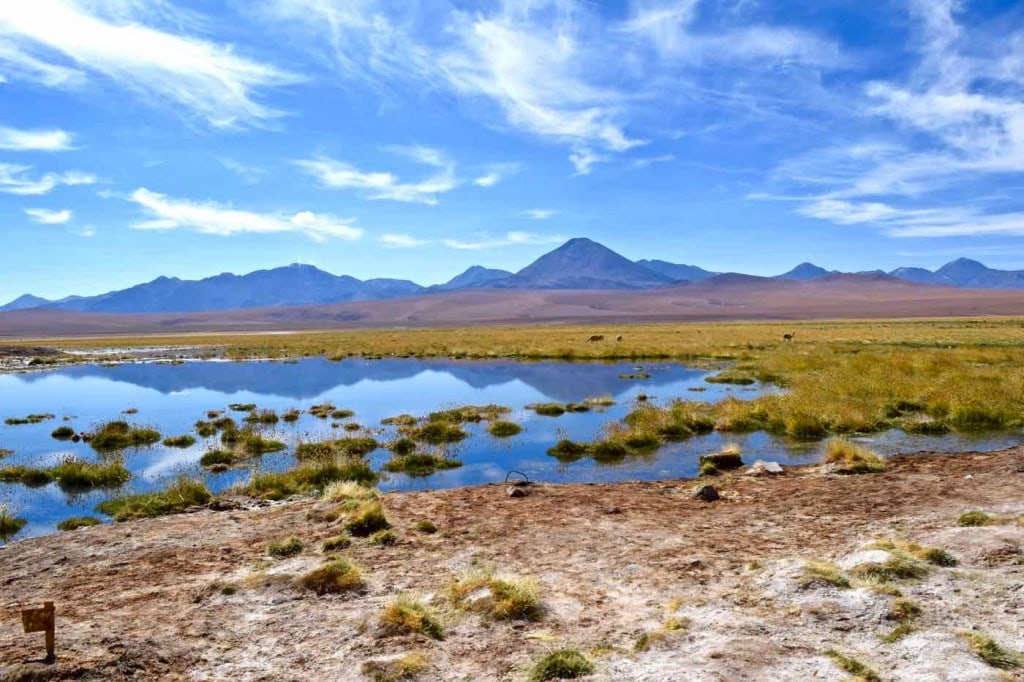 Lagoon on the way from El Tatio Geysers to San Pedro De Atacama