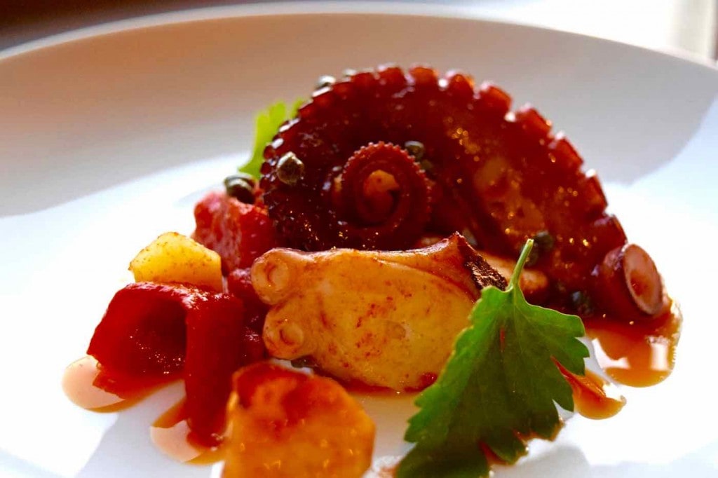 Octopus at Osteria London