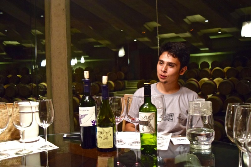 Tour guide Sebastian at Vina Montes, Colchagua Valley, Chile