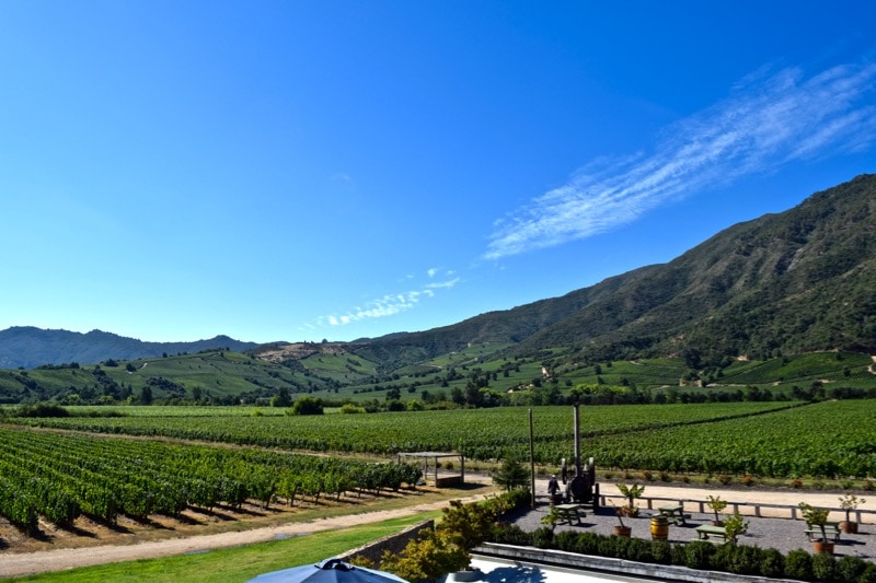 Incredible views from the back of Vina Montes, Colchagua Valley, Chile